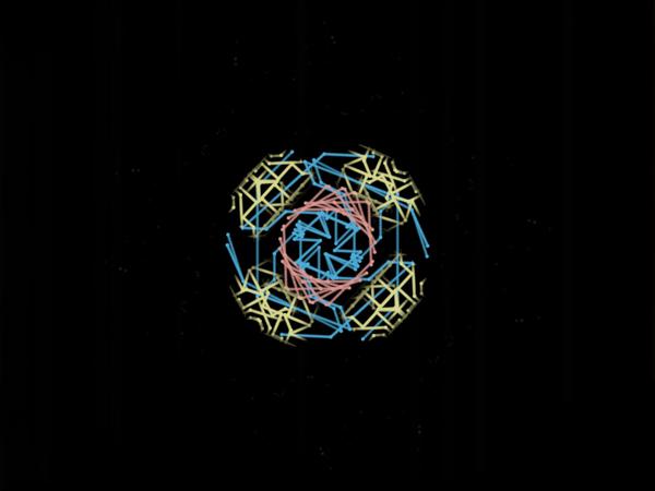 HIARASI”開　一輪”